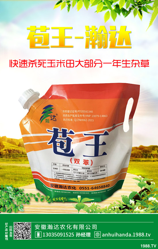 �紺�²���ôʩ�����²�ʩ�ʷ�����ע�������