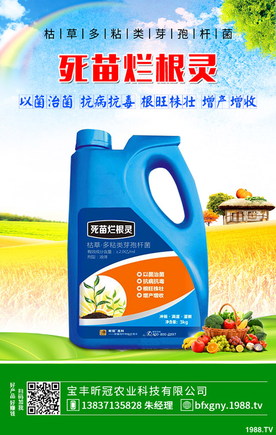 ��ô�Nֲ�_�h�����_�h���Nֲ������B��