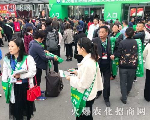     2019ɽ�|����ֲ���p�������r(n��ng)�����̾W(w��ng)��ٶ��w��