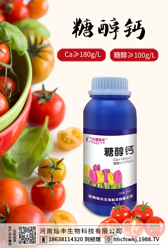 ���{(l��n)���ݲ����u������ԓ��η��������{(l��n)���ݲ����δ�ʩ