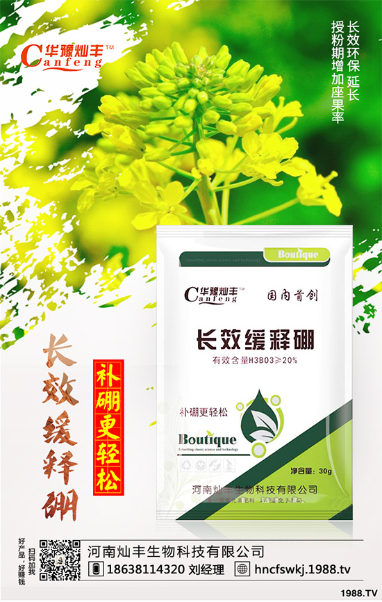 ���{(l��n)���ݲ����u������ԓ��η��������{(l��n)���ݲ����δ�ʩ