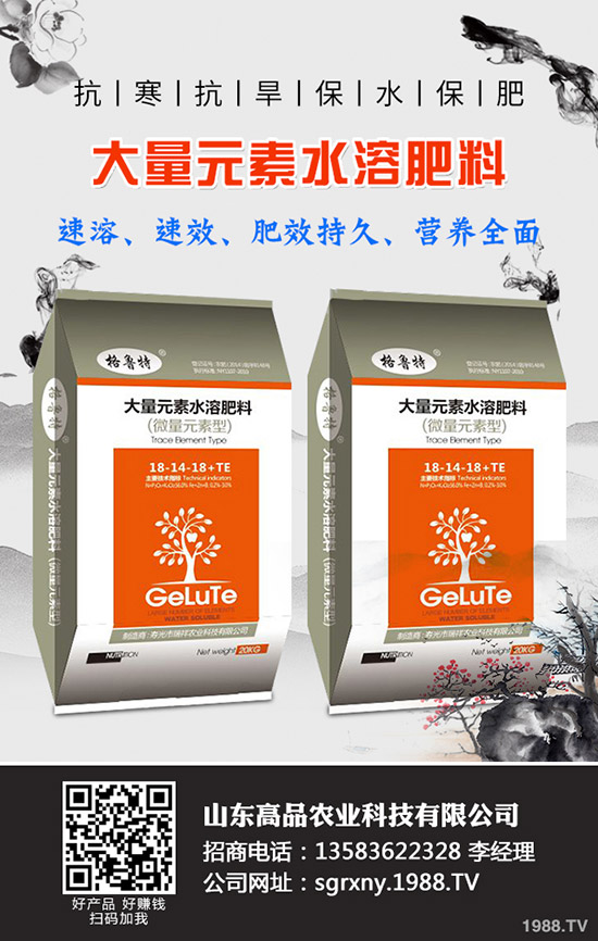 2019��11��12�ձ���������(n��i)⛷������߄��A(y��)�y��