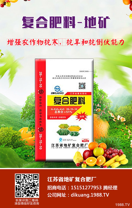 �ͺϷʃr�������½���2019.11.12�ͺϷʃr�������A�y��