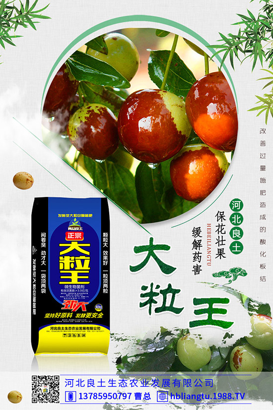 ����仨���ԭ������Щ�������������������