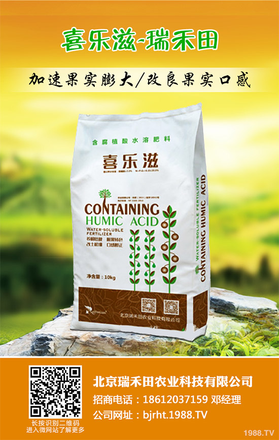 2019��11��12�ս��ո������؏S�҈�(b��o)�r(ji��)�^�m(x��)�µ������غ����A(y��)�y(c��)��