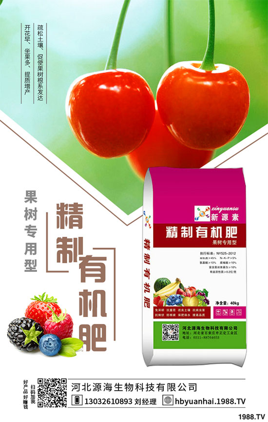 苦瓜種植施肥的兩大誤區(qū)，種植苦瓜需要注意哪些條件？