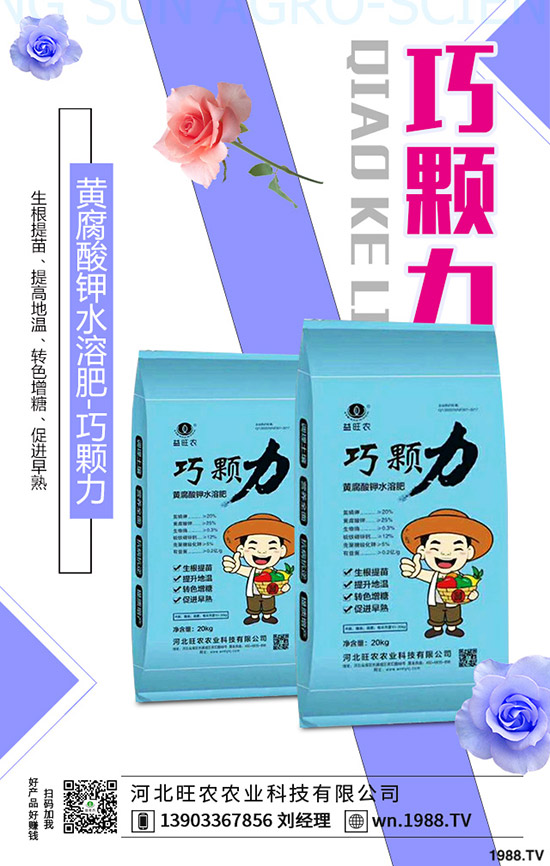 ���؃r�����һ�����r���»�������2019-11-13���س��S�r���A����