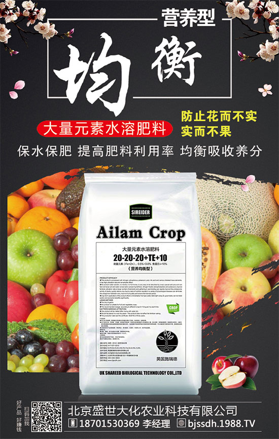 ���ӵĠI�B(y��ng)������t���ֵĹ�Ч�c������