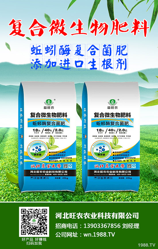 吃菠蘿蜜有什么好處，菠蘿蜜的功效與作用有哪些？