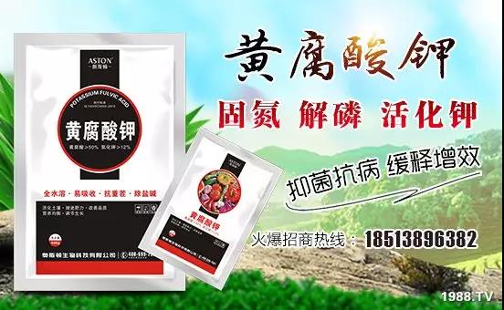 �VԴ�S����⛡�����Ʒ����1����=8���ЙC�����½�Դ�^ֱ�l(f��)������