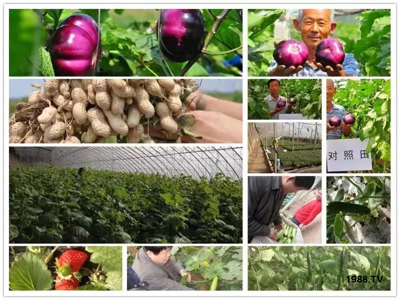 �VԴ�S����⛡�����Ʒ����1����=8���ЙC�ʣ��½�Դ�^ֱ�l(f��)������