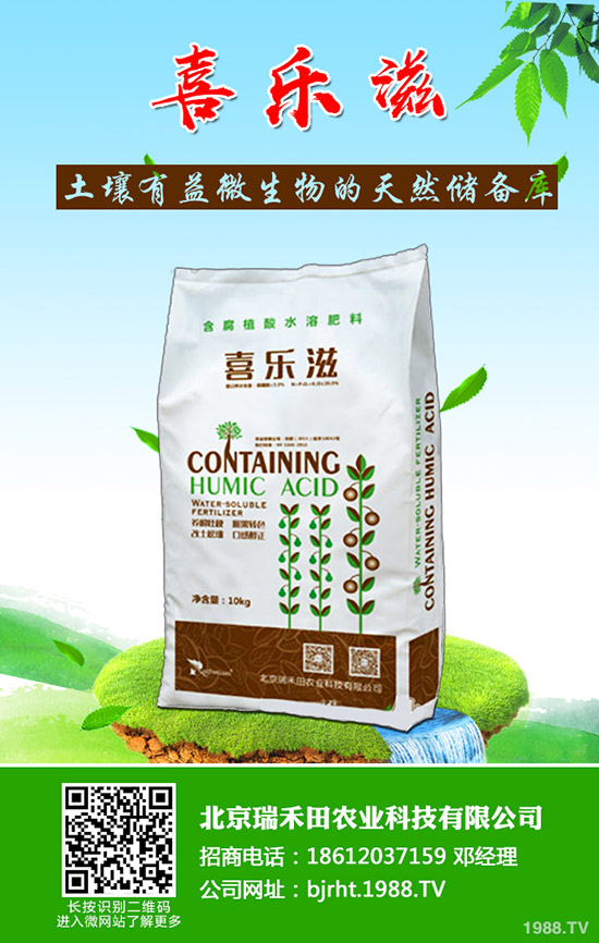 �����~Ƭ�l(f��)�S����ô�����������~Ƭ�l(f��)�S��ô������