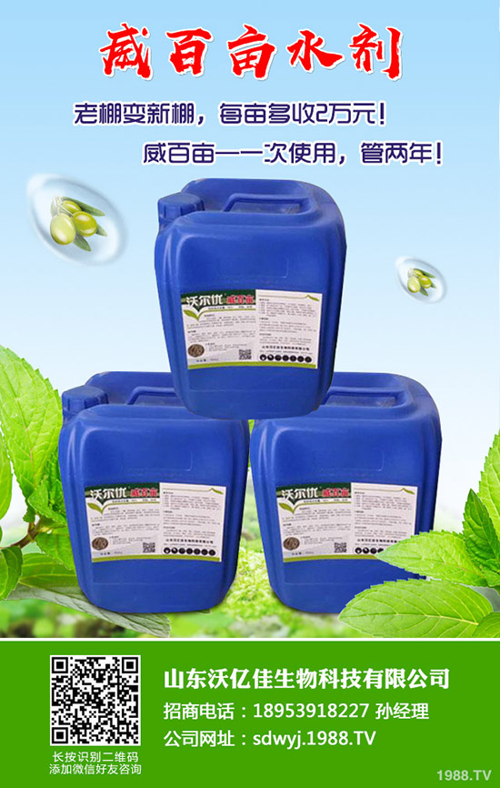 ���ʲô�r��Nֲ�������ô�Nֲ�ܸ߮a��