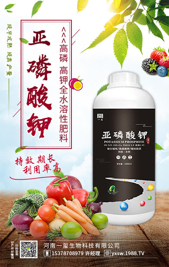 ���Ҙ��ʲô���Y(ji��)�������Ҙ䲻�Y(ji��)����(sh��)�ĵĽ�Q������