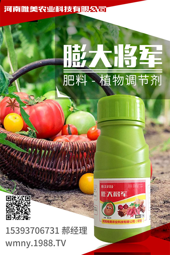 ��������ʲô��̎�����x���ֵ�С������