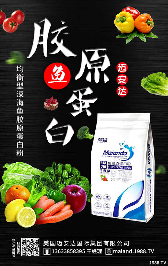 ������������M���B(y��ng)ֳ���o����ʮ�����ܷNֲ�B(y��ng)��С������