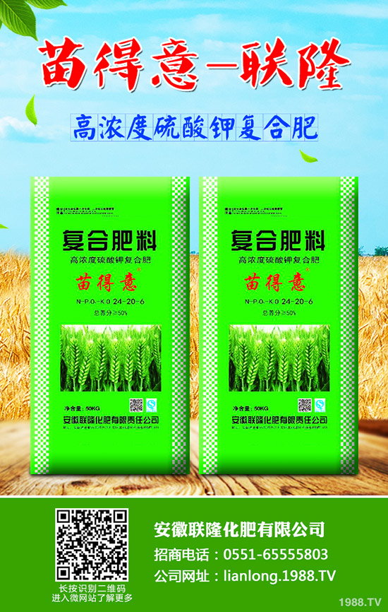 ��ţ��?q��)����w��ʲô��̎��ţ��ĠI�B(y��ng)�rֵ����Ч!