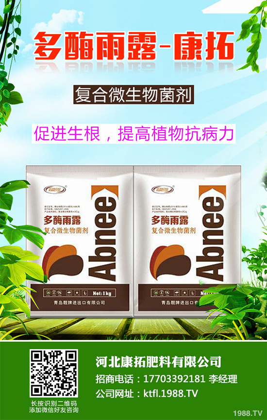 11�·��r(n��ng)�°�������Щ��2019�ﶬ�߲˷Nֲָ��