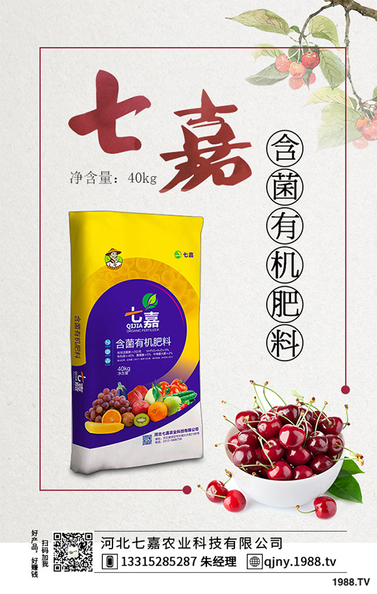 11�·��r(n��ng)�°�������Щ��2019�ﶬ�߲˷Nֲָ��