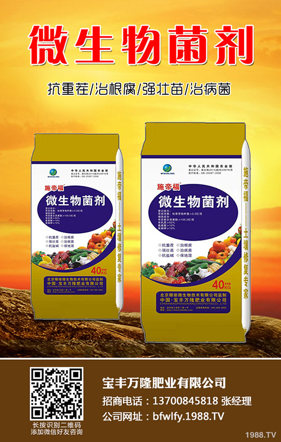 ���m���Nֲ��������Щ�����m���Nֲע�����(xi��ng)��