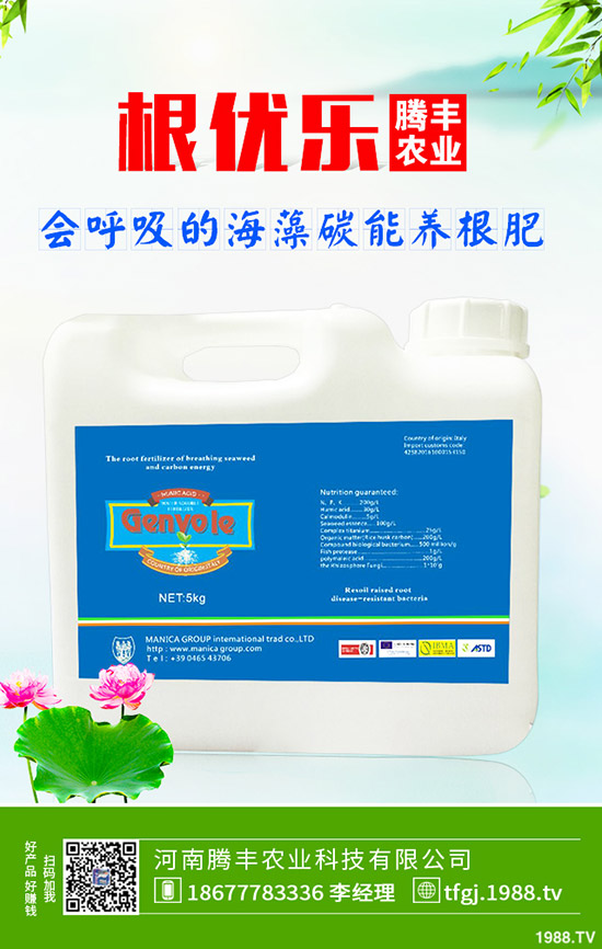 ʯ��ְ߲���(d��o)�°l(f��)�S���~��ô�k��ʯ��ְ߲��ķ���Ҫ�c��