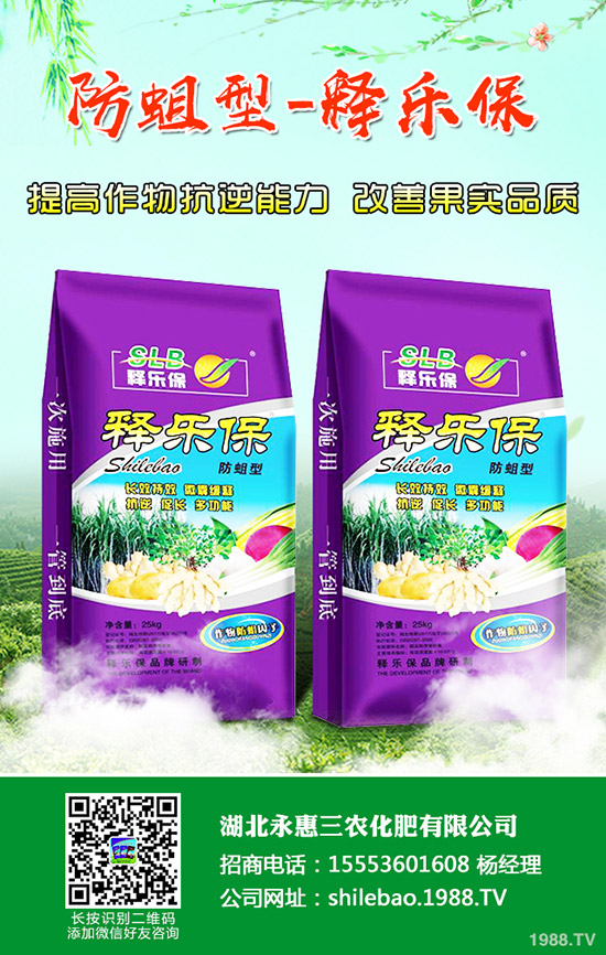     2019��11�µ���������⛷��Ј��r�������߄��A(y��)�y��