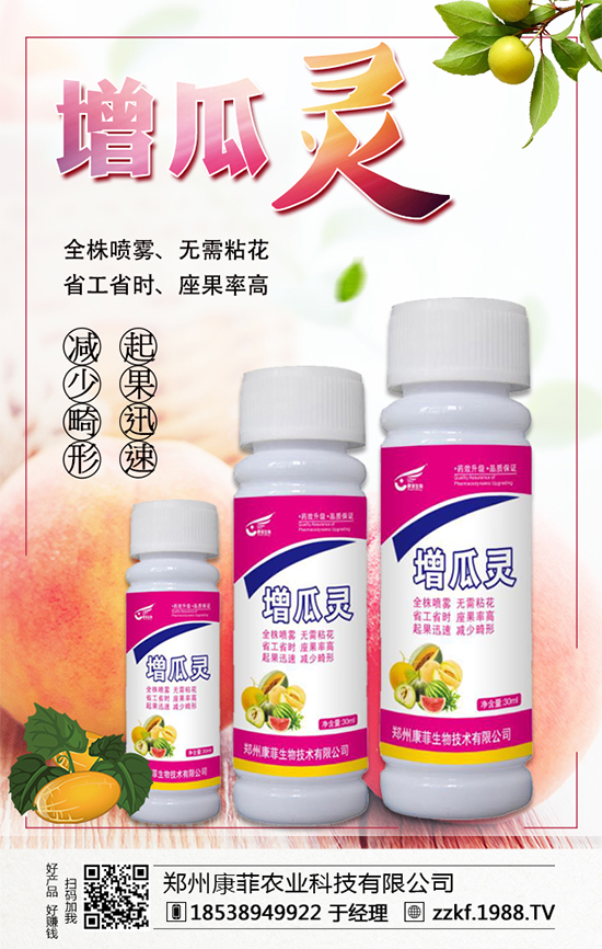 �����Ϲ���ô�Nֲ�������ϹϵķNֲ��Ҫ�c(di��n)��