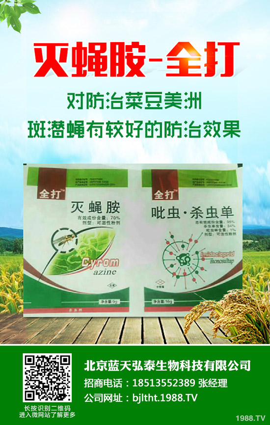 ��(ji��)���Ƕ��φ᣿��(ji��)����ηNֲ���������@Щ������æ����