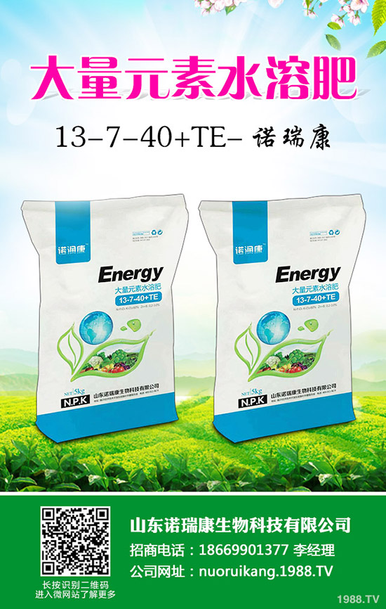 2020�����r(ji��)��������ô����ٍ�X(qi��n)�����Nֲ��e��(hu��)����ô��