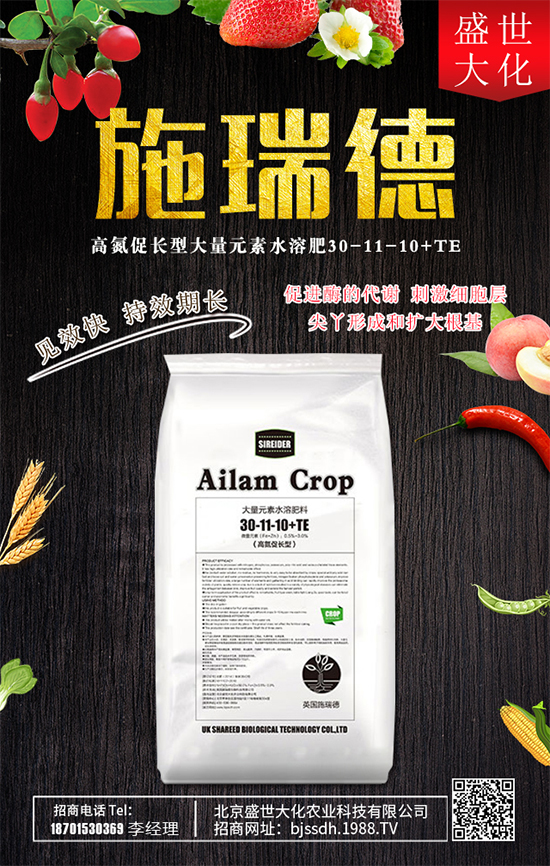 ʯ����ʲô�I�B(y��ng)�rֵ��ʯ������Щʳ�ù�Ч��