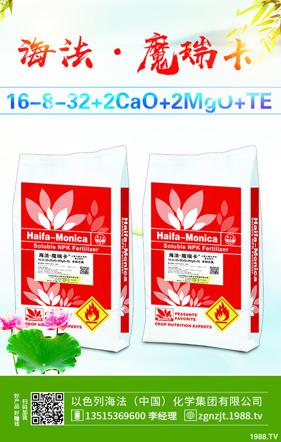     ����������D(zhu��n)��2019��11��27�ո��؅^(q��)�����������S��r