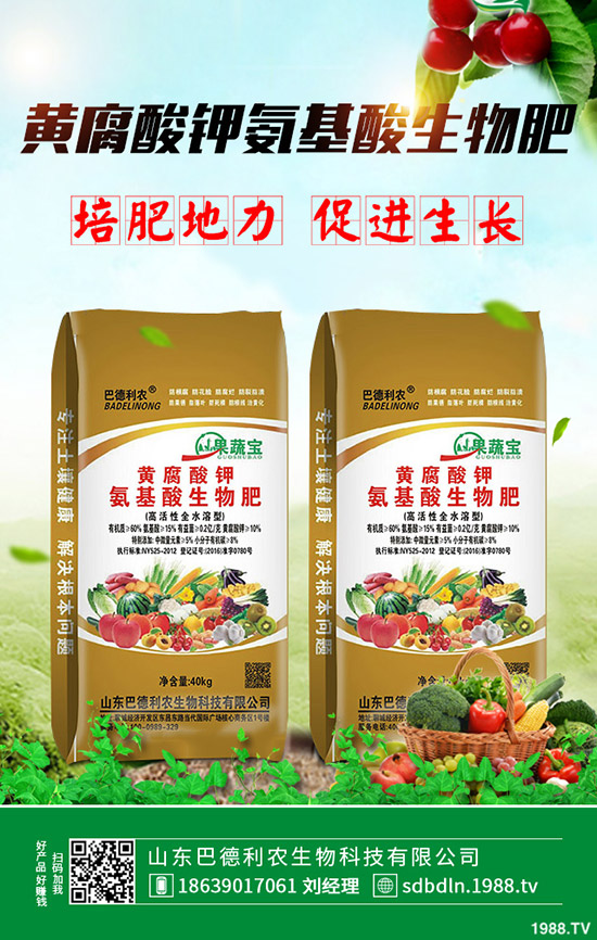     2020年棉花種植如何選購棉種？有什么好的品種推薦？