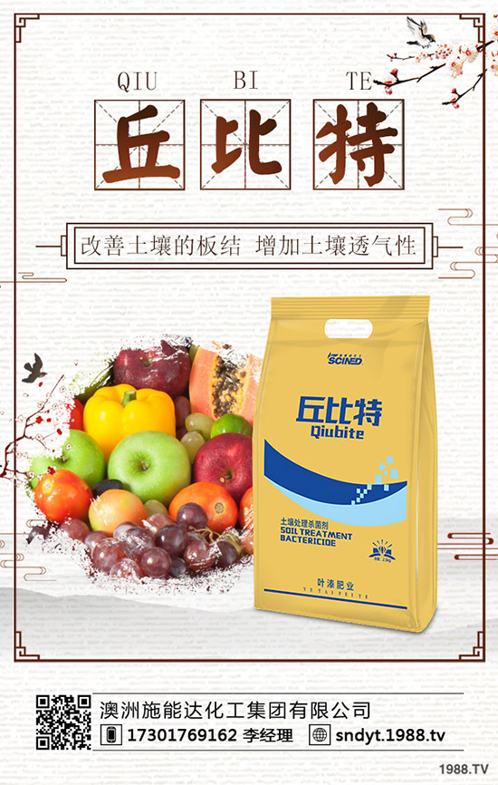 2019.11.29����⛷ʃr(ji��)�������߄�(sh��)�C���A(y��)�y(c��)