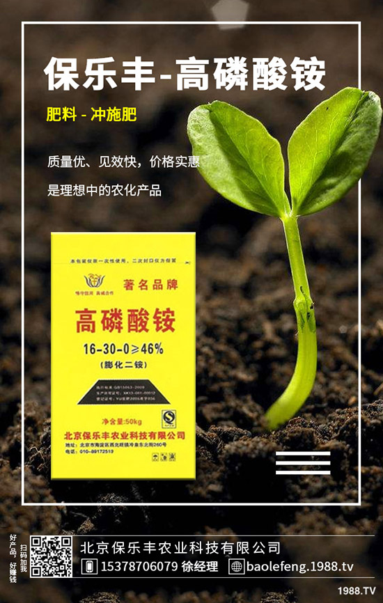 ��(gu��)��(n��i)���@�r(ji��)���(hu��)�ϝq����2019.11.29���ո������@���S��(b��o)�r(ji��)��