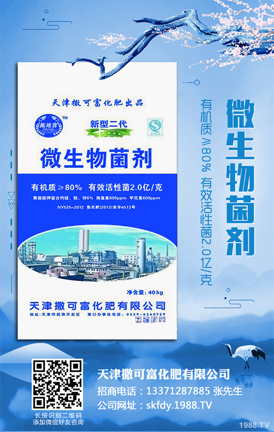 ��Ƥ�����Ժ���S��զ������ԓ��ô��Q�����������