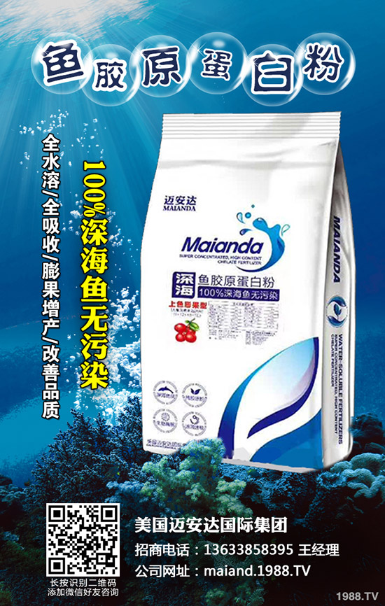     �������r(ji��)������X(qi��n)һ����2020����������������