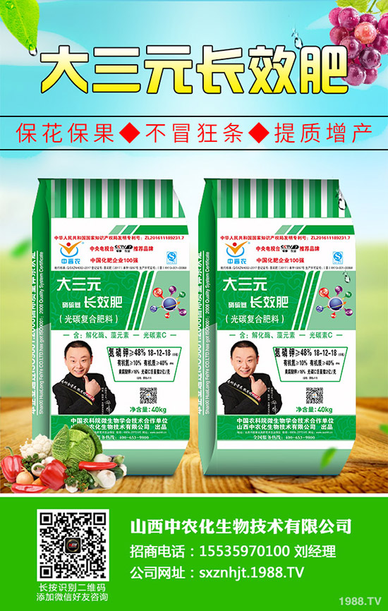     �ͺϷʶ��������³���2019��11��4�ս��ՏͺϷʳ��S������һ�[��