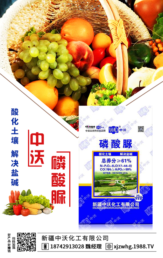 �½����ֻ������޹�˾1