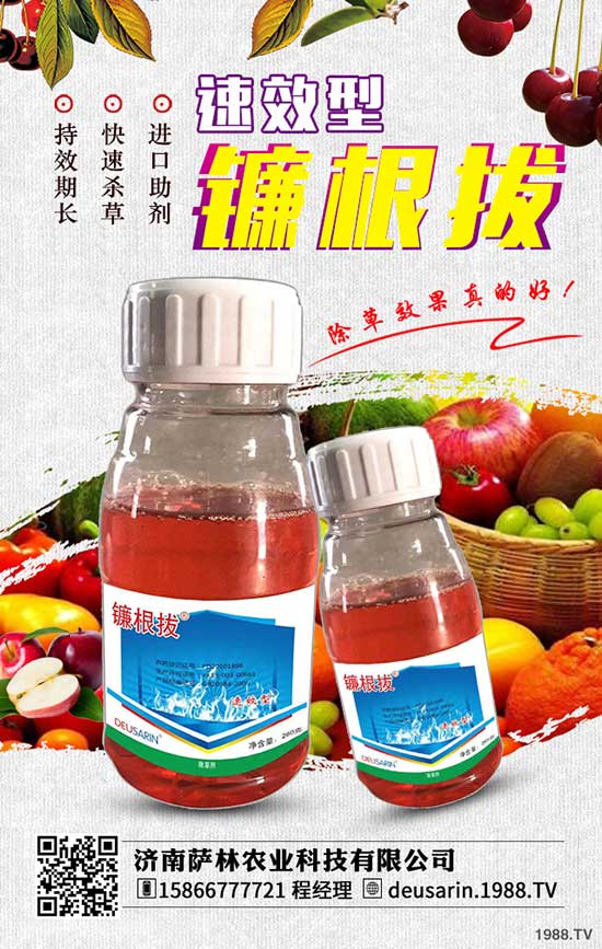 �����_���r�I(y��)�Ƽ����޹�˾1