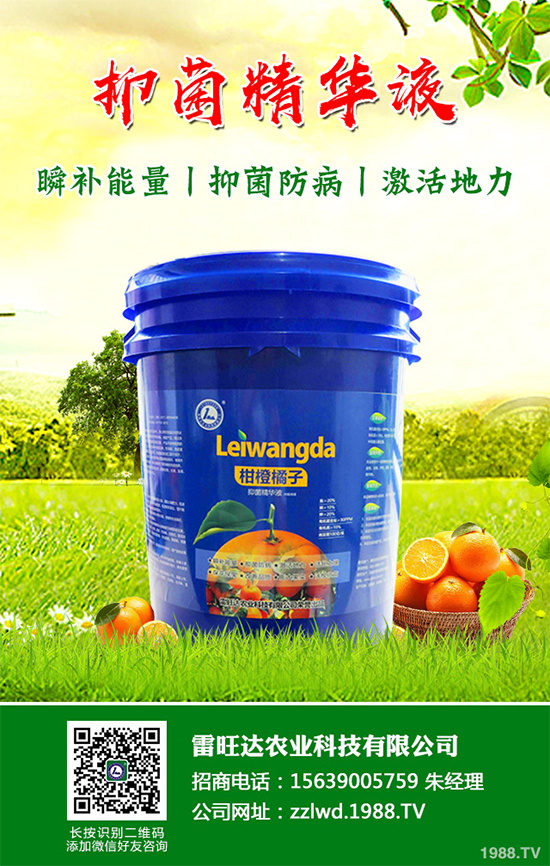 �L�ڵ͜ع������߲��L�ݲ�ԓ��ν�Q�����������a(b��)��Ď��(xi��ng)��ʩ