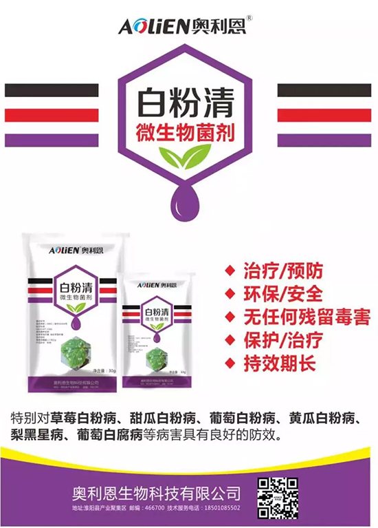 �׷۲�������(f��)�y�p���� ӛס�@��ˎ����Ч���ΰ׷۲����P����