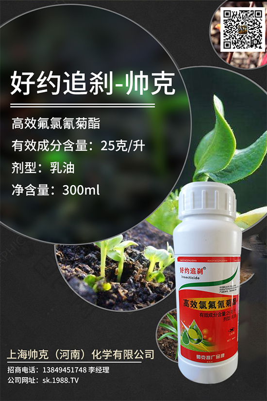 ��Ч�ȷ������