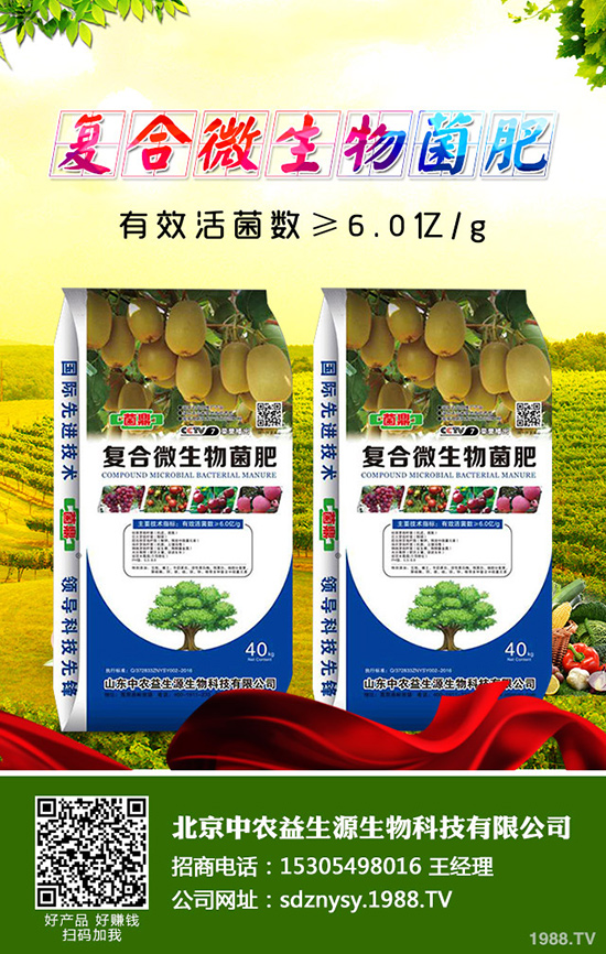 �����˵Ĺ�Ч�c�����������˵ĠI�B(y��ng)�rֵ��