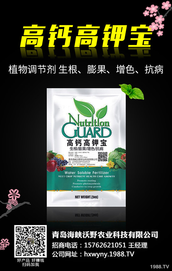 小麥田雜草什么時候防治更佳？小麥雜草解決方案！