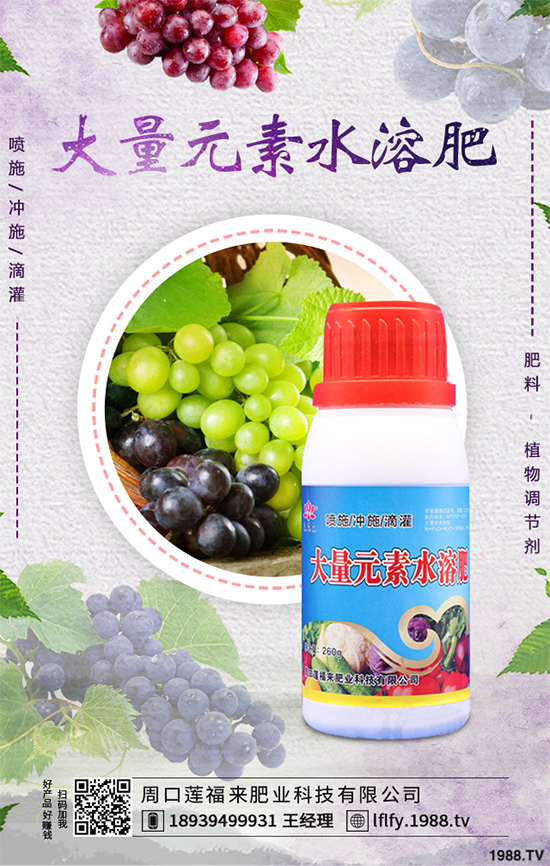 ���Ҵ�������ԓ�����������������߮a(ch��n)���༼�g(sh��)