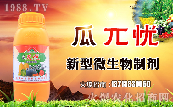 �����˥��Մ֮һ���A����˥��Ҫ׌�����L�ڽ�������