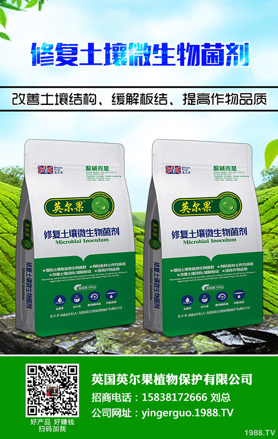     尿素行情低迷！2019年11月11日各地區(qū)尿素主流出廠報(bào)價(jià)！