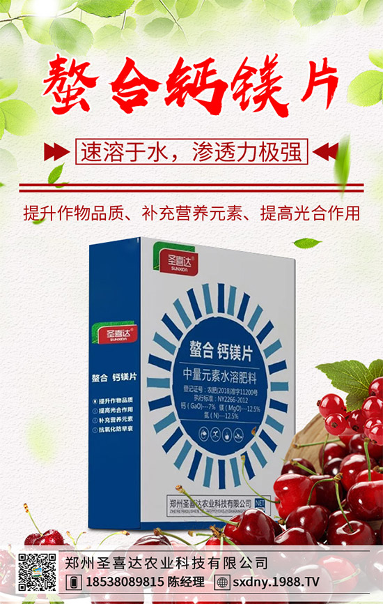 ���E��ʲô�@ô���˚gӭ�����E���Ј�(ch��ng)�������