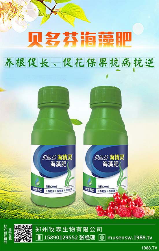 ���E��ʲô�@ô���˚gӭ�����E���Ј�(ch��ng)�������