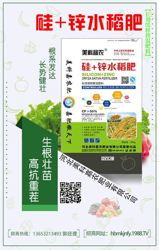 �����С������ڏͺϷ��а�������Щ��ɫ��